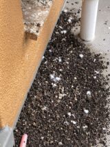 ベランダフン害状況③